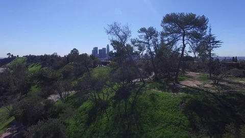 Downtown LA Skyline Video stock 81765837