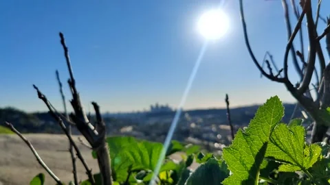 Downtown LA Spring Greenery Sunny Hikers Scenic DTLA Los Angeles California USA Video stock 170795829
