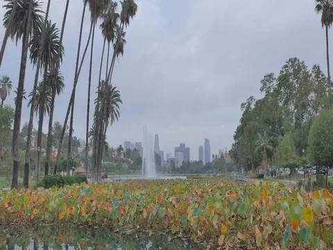 Downtown Los Angeles from Echo Park Morning Gloomy Sunrise 4k 24fps Stock Footage 80690534