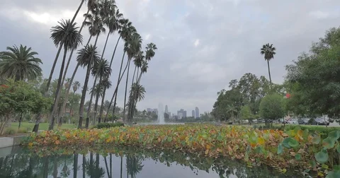 Downtown Los Angeles from Echo Park Morning Gloomy Sunrise 4k 24fps Stock Footage 80690635