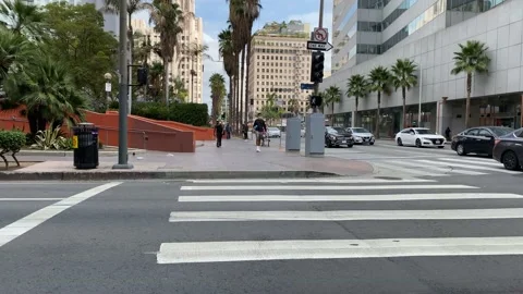 Downtown Los Angeles, Pershing Square 001 Stock Footage 163689321