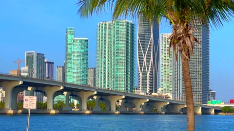 Downtown miami 2022 Stock Footage 193124449