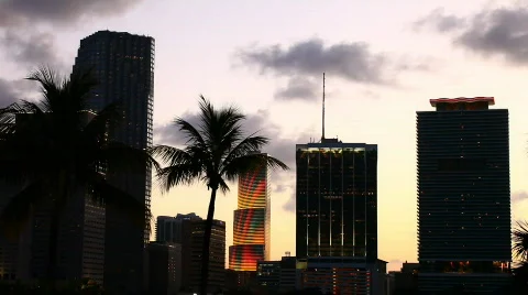 Downtown Miami Video stock 636727