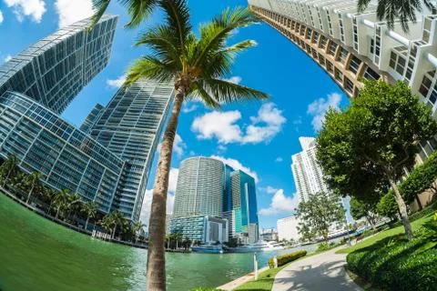 Downtown miami Stock Photos