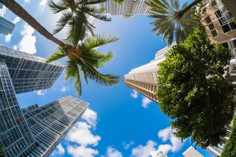 Downtown miami Stock Photos