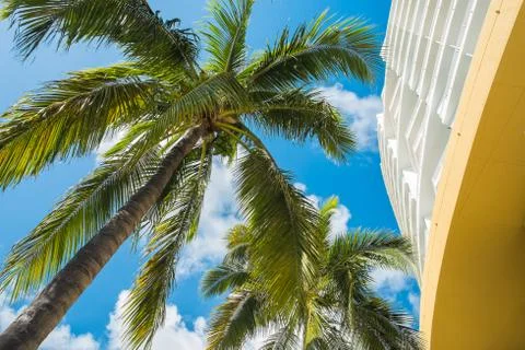 Downtown miami Stock Photos