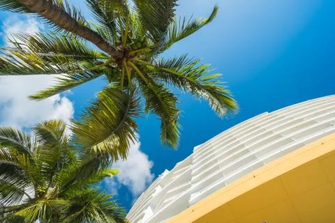 Downtown miami Stock Photos