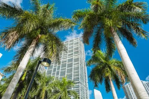 Downtown miami Stock Photos