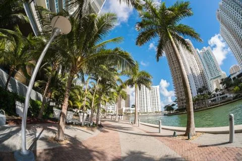 Downtown miami Stock Photos