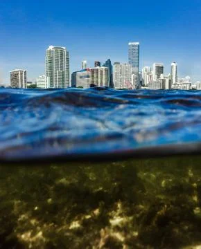 Downtown Miami skyline from below the water Stock Photos