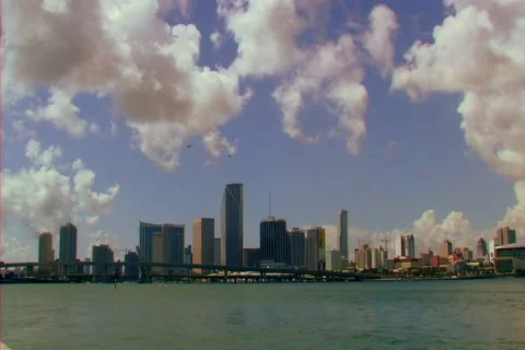 Downtown Miami Skyline Stock Footage 974109