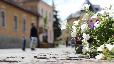 Downtown Street Stock Footage 46113390