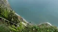 Downview from highest cliffs HD Footage