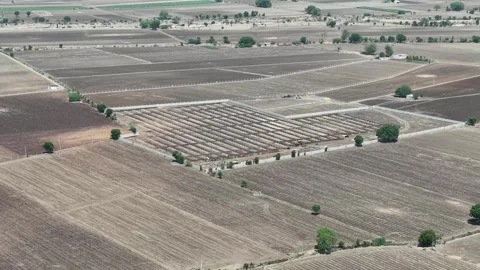 Downward aerial view mapping a secured commercial green energy project Vídeo Stock 337246043