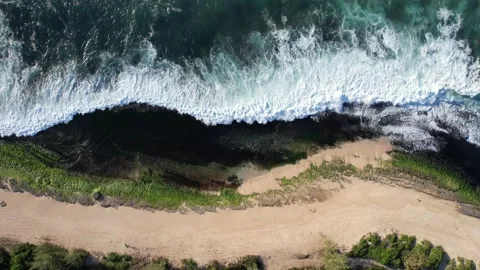 Downward aerial view of sandy beach, mossy rocks, big waves, and forest Vídeo Stock 169612966