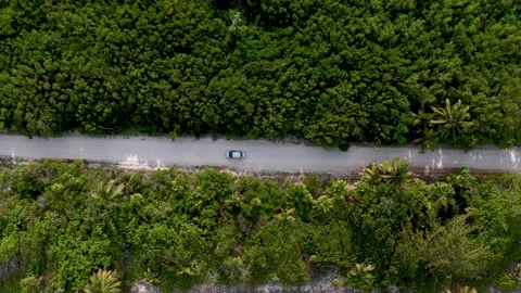 Downward angle drone shot of car driving near Mahahual Mexico with dense Stock Footage 153007478