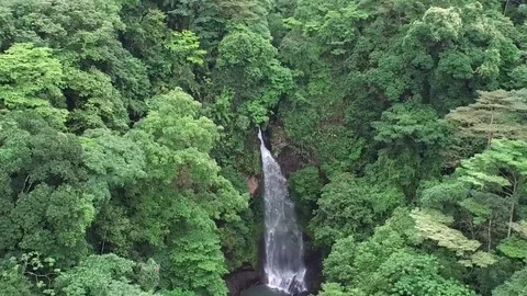 Downward Crane Shot of Pristine Waterfall in Tropical Forest Stock Footage 70649015