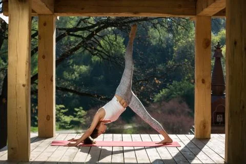Downward facing dog pose with left leg up Stock-Fotos
