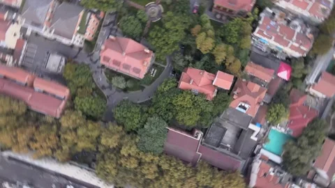 Downward Facing Flight in Tree and homes Stock Footage 143142708