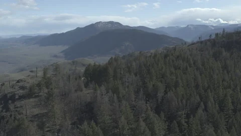 Downward Moving Drone shot with Trees and Mountains in Backgroud Stock Footage 255053297