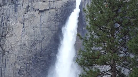 Downward pan: full length of Upper and Lower Yosemite Falls, Spring 2023 Stock Footage 241194096