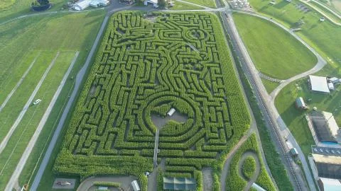 Downward view of a large corn maze Stock Photos