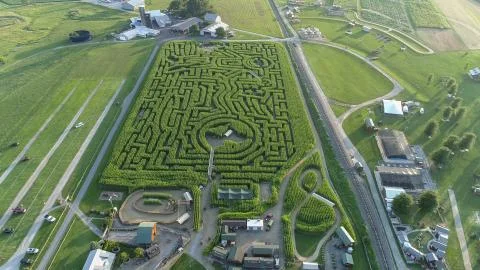 Downward view of a large corn maze Foto stock
