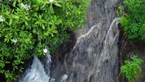 Downward view over cascade surrounded by summer forest in bloom Stock Footage 158323995
