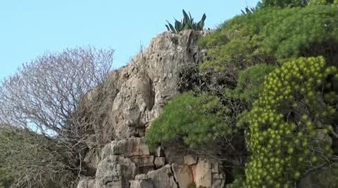 Downwards a green cliff Stock Footage 21343748