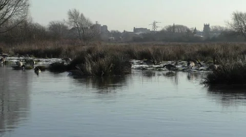 Doxey Marsh and Stafford Stock Footage 45447166