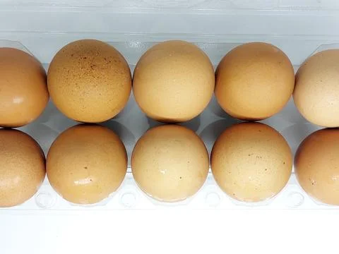 Dozen brown chicken eggs on plastic container isolated on white background Stock Photos