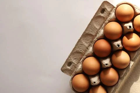 A dozen brown eggs per pack. Egg container on the side. The container for egg Stock Photos