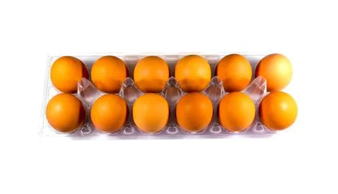Dozen of the egg at the plastic tray. Stock Photos