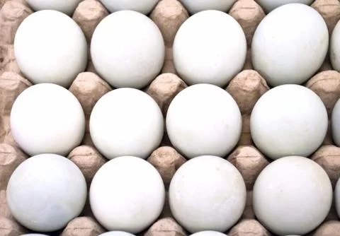 Dozen eggs Stock Photos