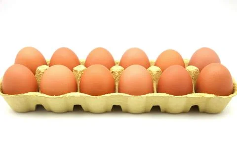 Dozen eggs Stock Photos