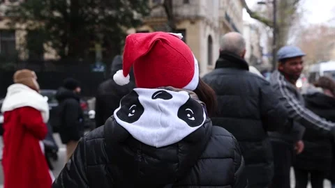 Dozens of protesters demand the application of the DALO law in Paris, París (es- Stock Footage 259656574