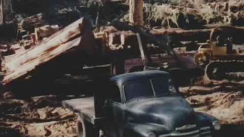 Dozer towing a half of massive log  Vídeos de archivo 294325157