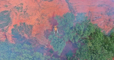 A dozer used to clean up a uprooted and deforested during the process of before Stock Footage 200964572