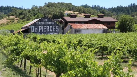 Dr. Pierce Stock Footage 95545711