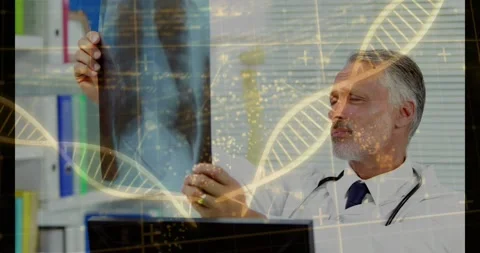 Dr raising chest X-ray and inspecting lungs for diagnosis, DNA helix overlay Stock Footage 333833257