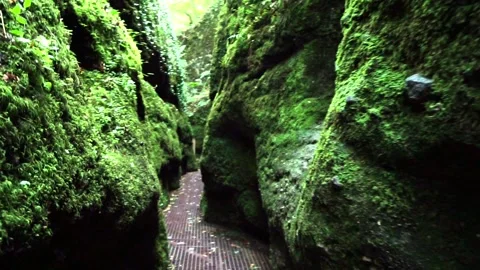 Drachenschlucht at thüringer Wald in Germany Stock Footage 277255065