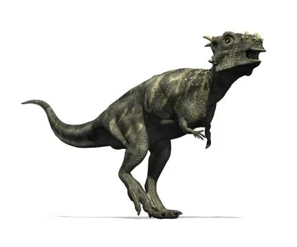 Dracorex Dinosaur Stock-Illustration