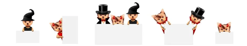 Dracula, devil and witch as cute pet dog. Halloween and Dead day Foto stock