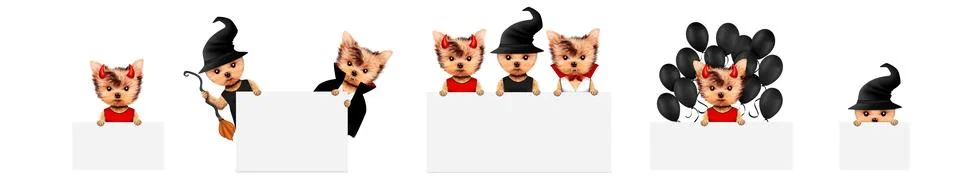 Dracula, devil and witch as cute pet dog. Halloween and Dead day Foto stock