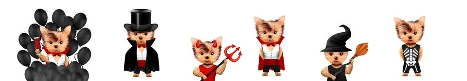 Dracula, devil and witch as cute pet dog. Halloween and Dead day Foto stock