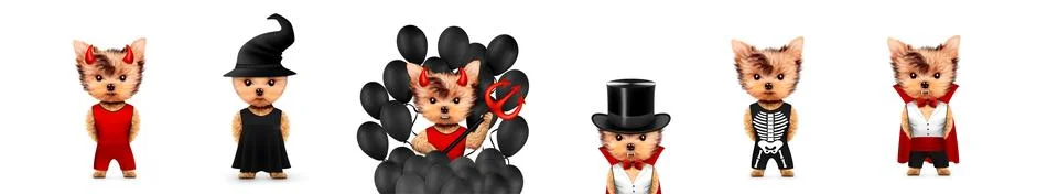 Dracula, devil and witch as cute pet dog. Halloween and Dead day Foto stock