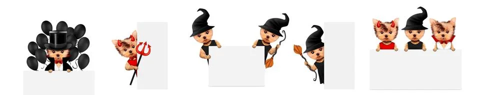 Dracula, devil and witch as cute pet dog. Halloween and Dead day Foto stock