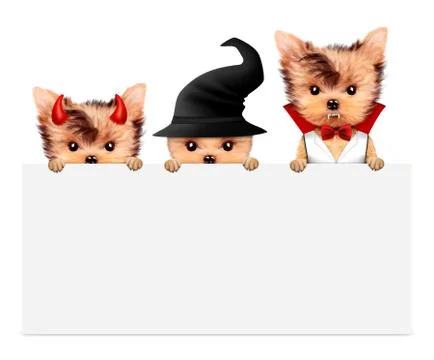 Dracula, devil and witch. Halloween and Dead day 스톡 일러스트