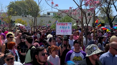 Drag Queens Lead Protesters in West Hollywood Standing Up for LGBT Rights Stock Footage 238056606