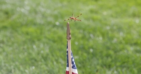 DraganFly lands in the USA flag Stock Footage 128389779